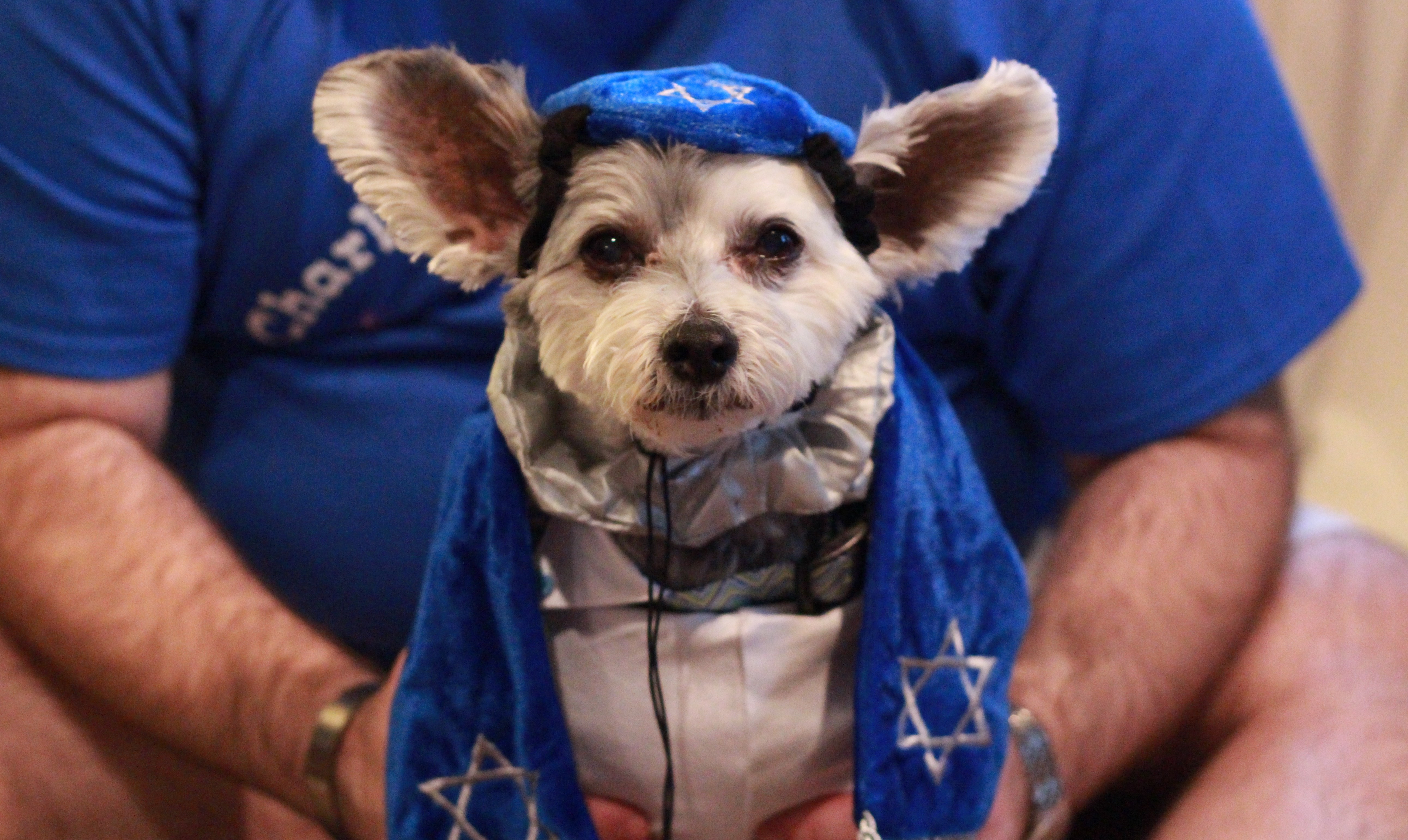 Charley-Bark-Mitzvah-1