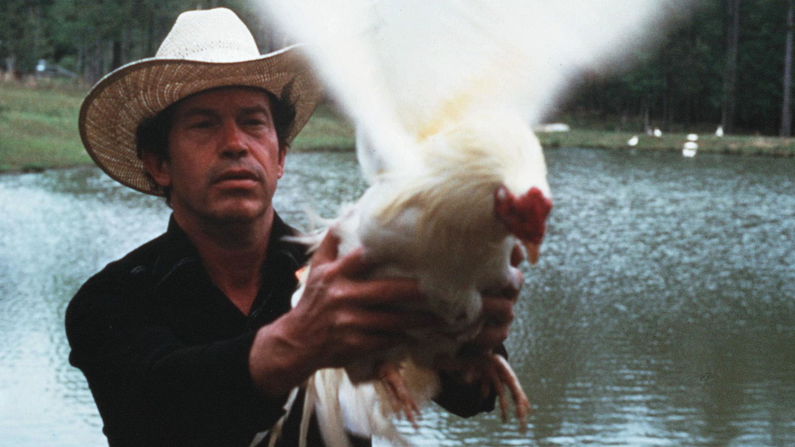 Warren-Oates-and-Rooster-Cockfighter-Monte-Hellman