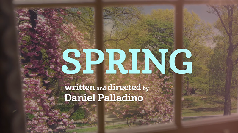 'Gilmore Girls: A Year in the Life' Spring 🌷